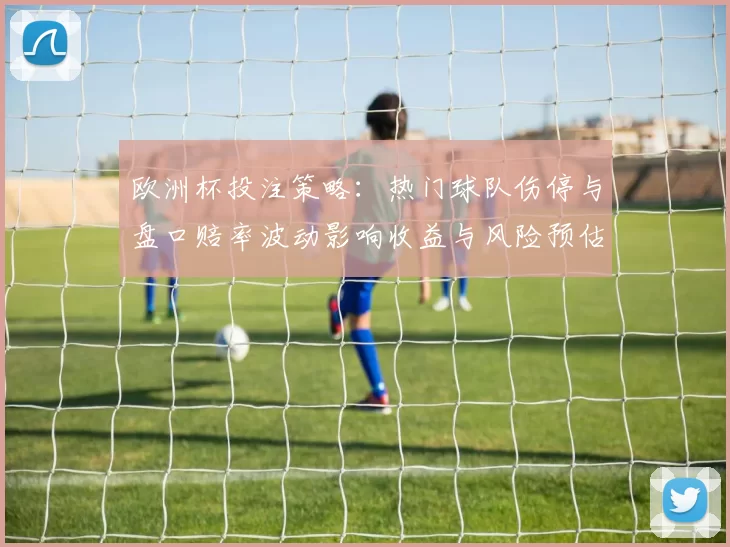 欧洲杯投注策略：热门球队伤停与盘口赔率波动影响收益与风险预估