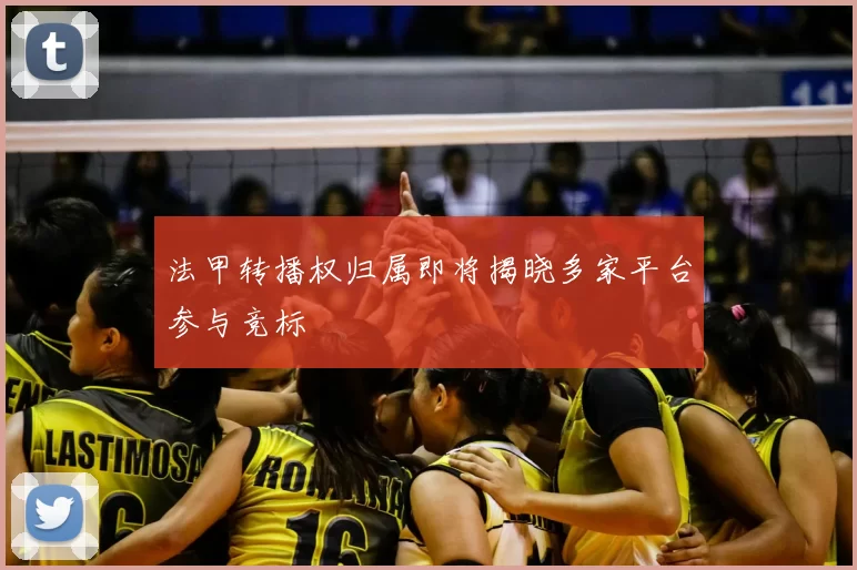 法甲转播权归属即将揭晓多家平台参与竞标