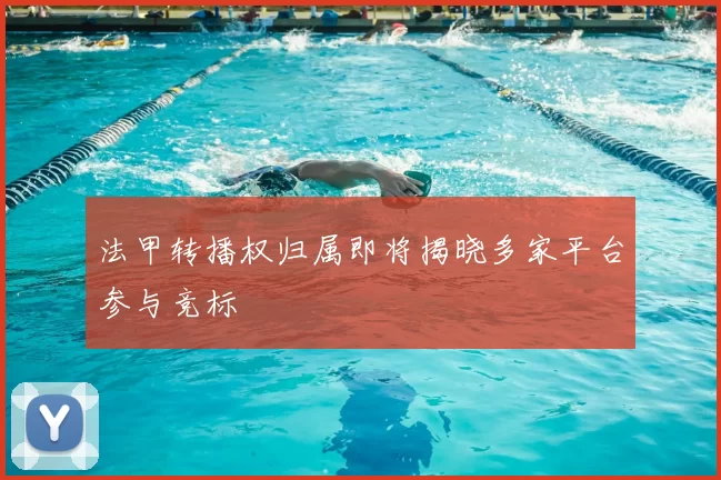 法甲转播权归属即将揭晓多家平台参与竞标