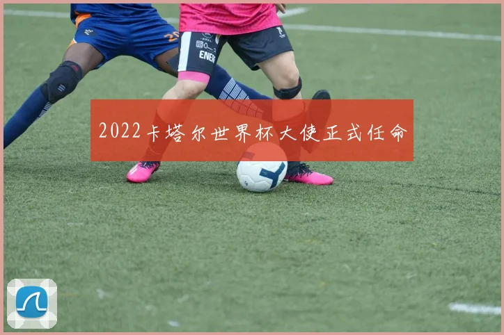 2022卡塔尔世界杯大使正式任命