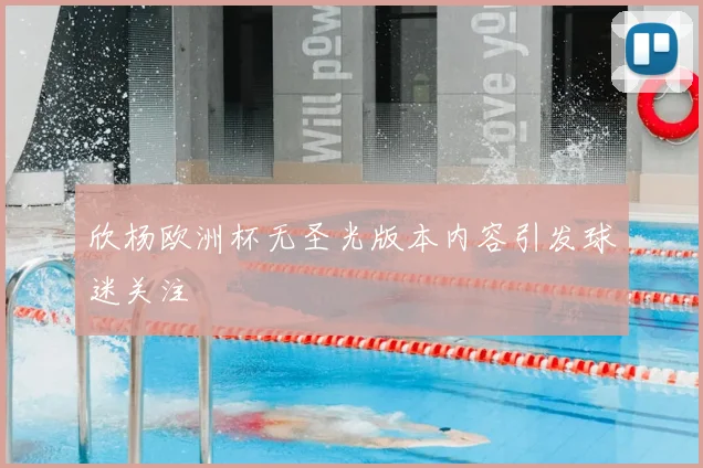 欣杨欧洲杯无圣光版本内容引发球迷关注