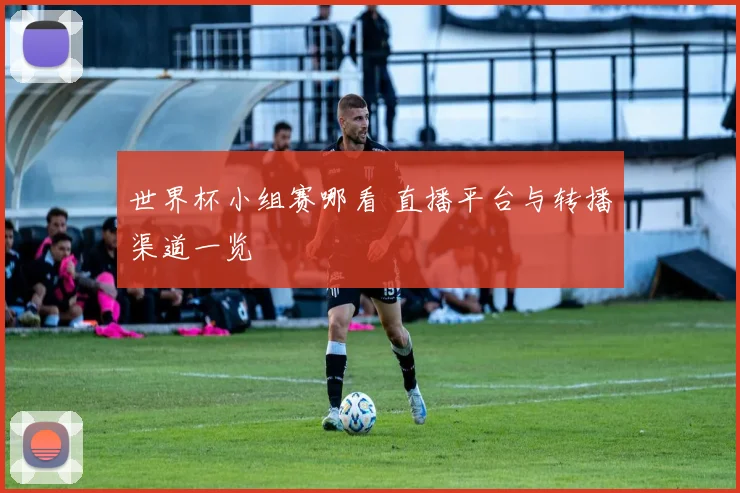 世界杯小组赛哪看 直播平台与转播渠道一览