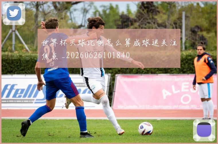 世界杯买球比例怎么算成球迷关注焦点 _20260626101840